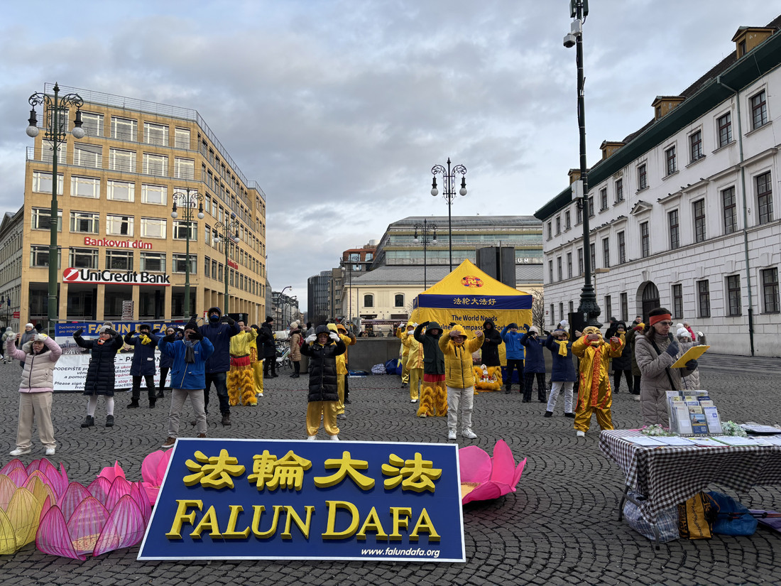 Ukázky cvičení a projevy