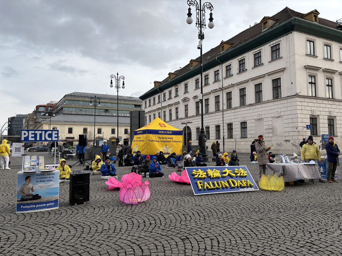 Ukázky cvičení a projevy