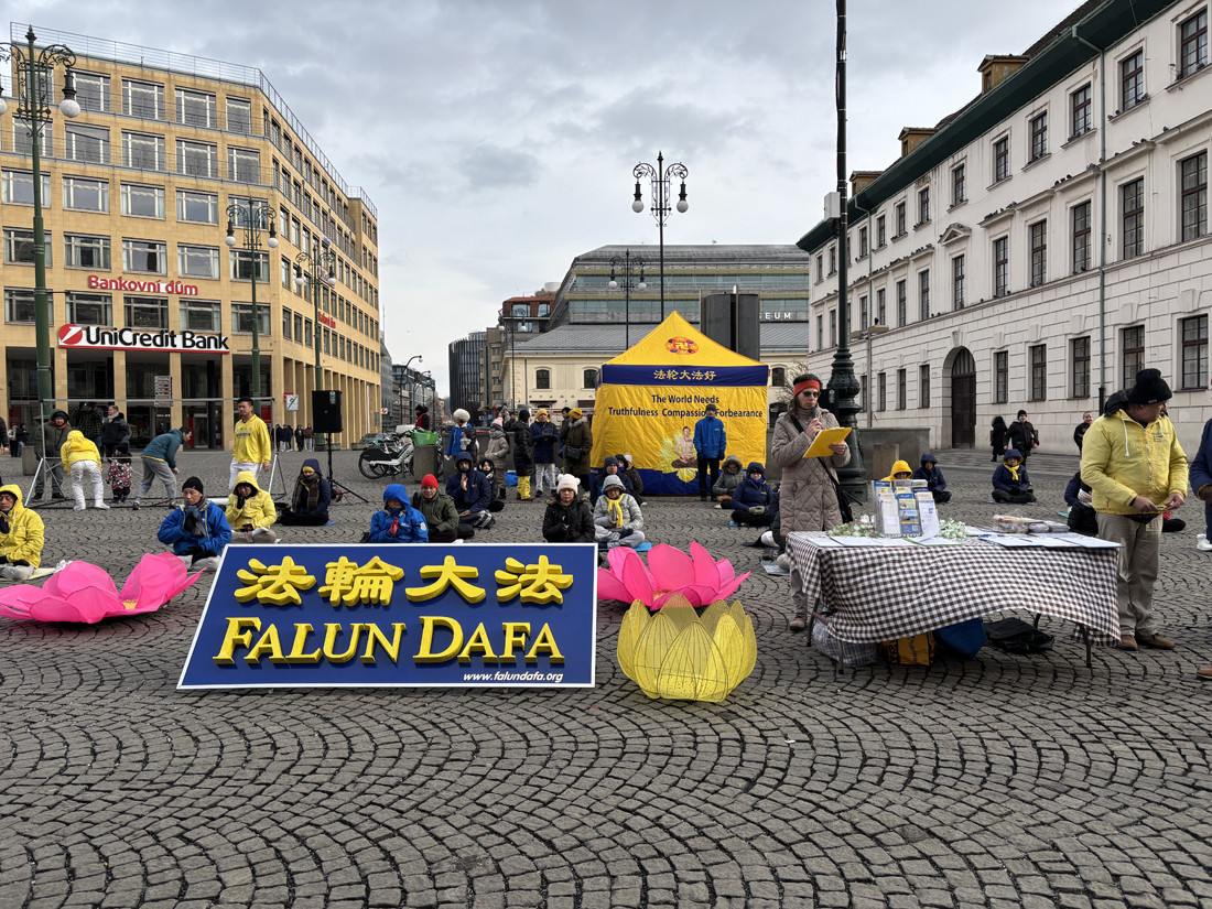 Ukázky cvičení a projevy