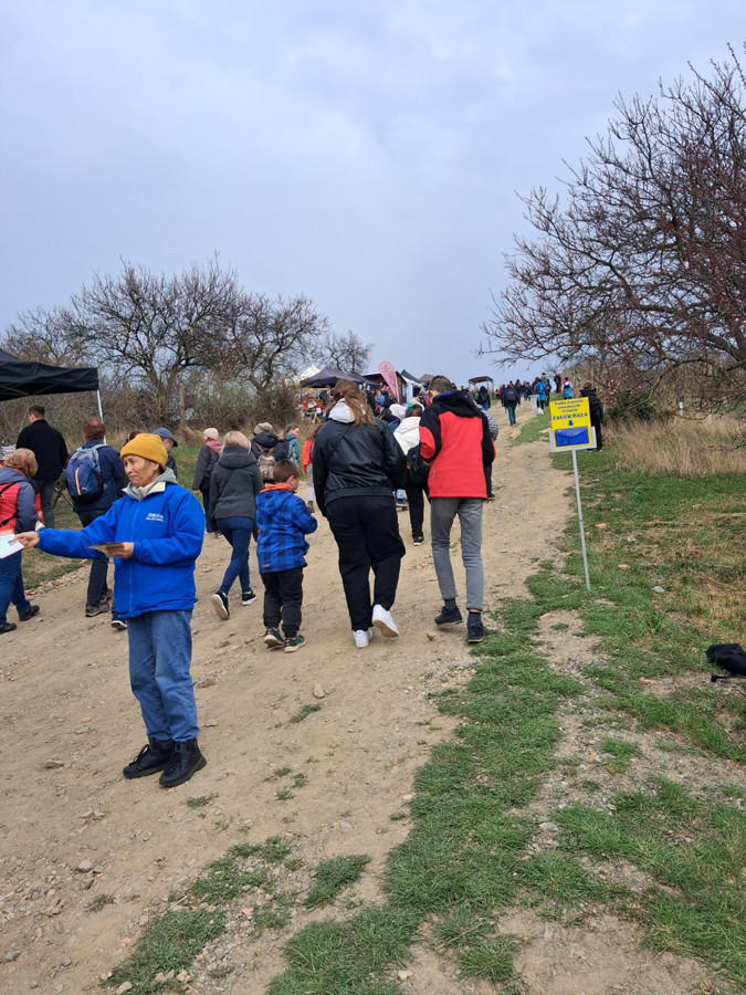 Petiční akce během Slavností mandloní a vína